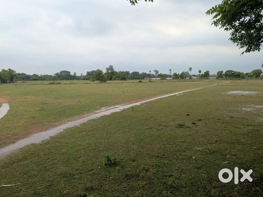 13 Acres punjai near maraimalai nagar