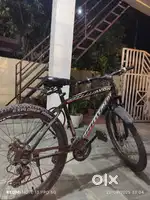 Avon gear cycle