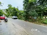 35 Cent Aluva,Thattampady.Tar road frontage.