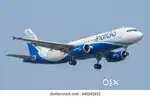 Indigo Airlines Jobs /Vacancy for Airport Ground Staff / Driver / Crew