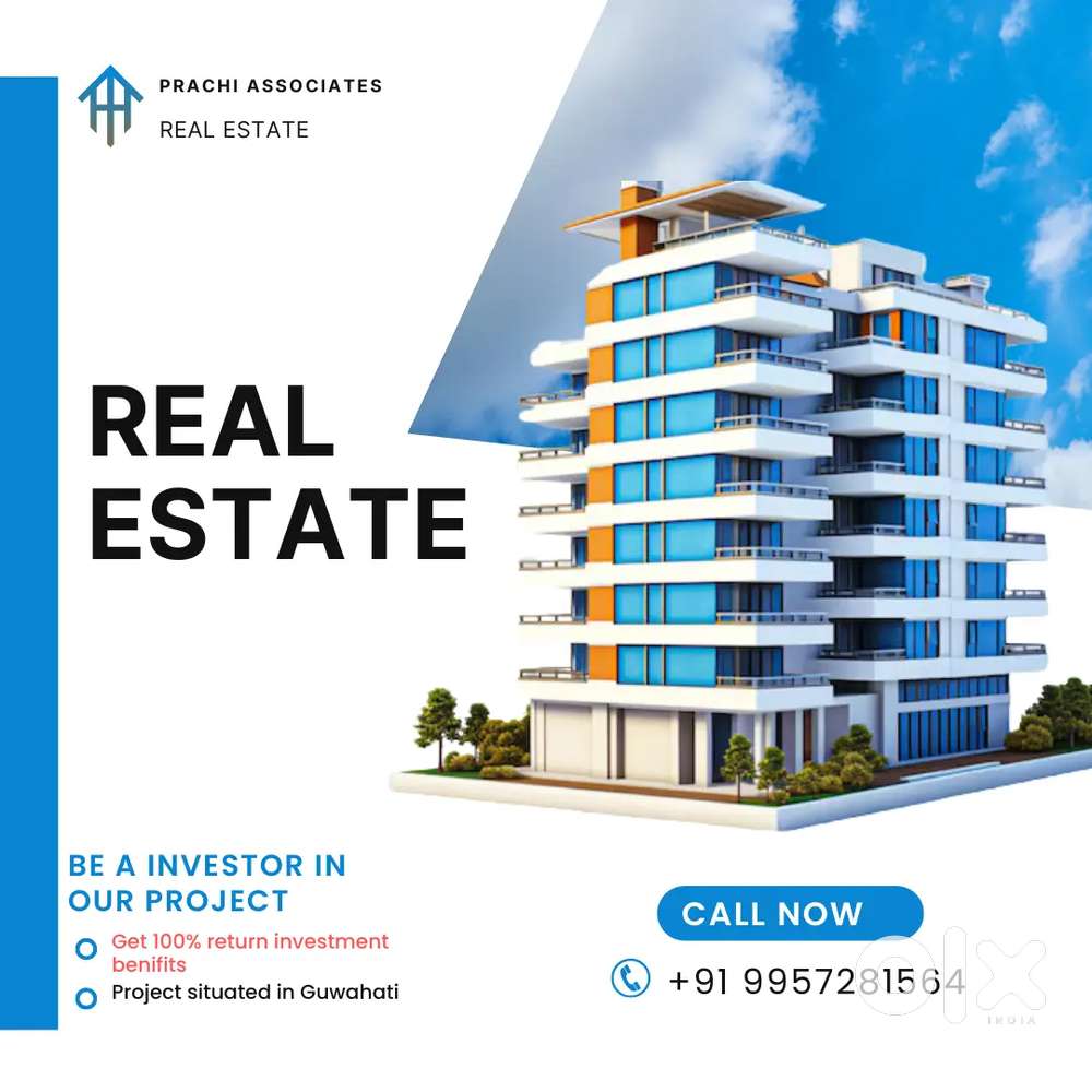 Project investor