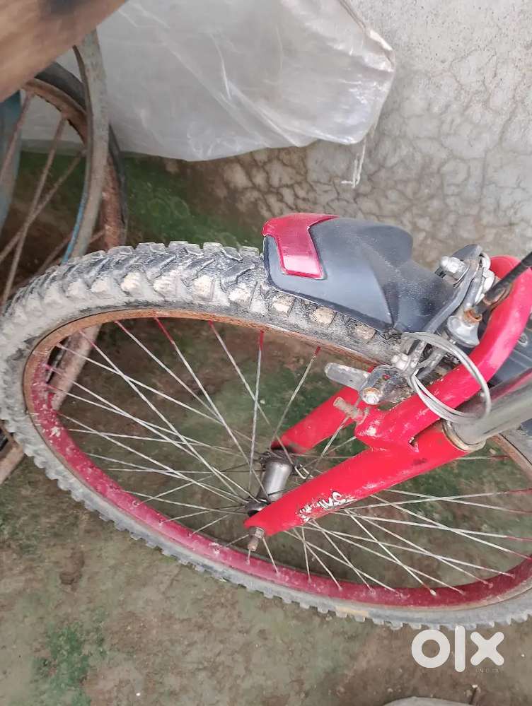 jila Lakhimpur khiri Aliganj mein sakil hai