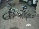 Fitlife bicycle