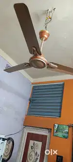 Crompton ceiling fan new condition