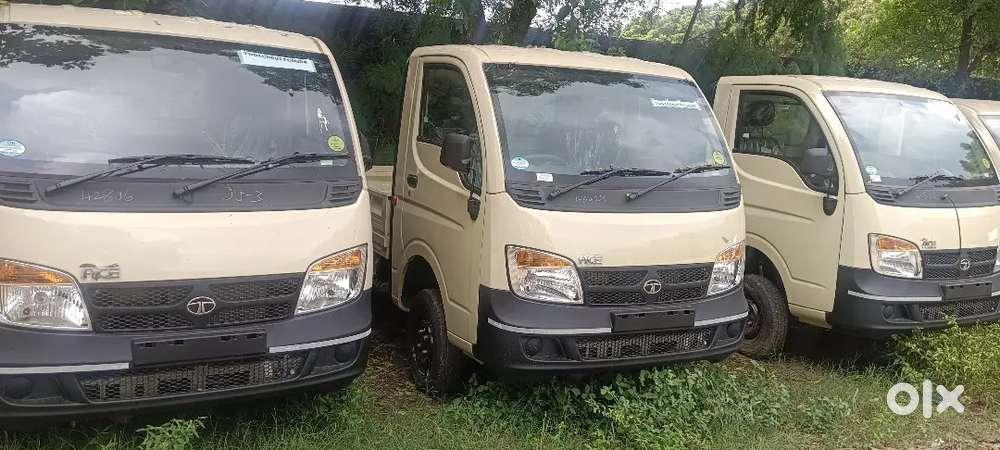 New vehicle showroom