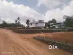 Thripunithura Thiruvankulam near NH high way plot for sale