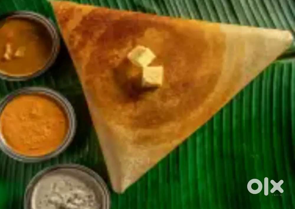 Potato master wanted for udaipur