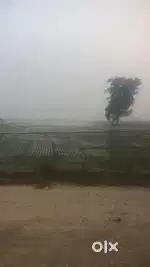Plot land for sale