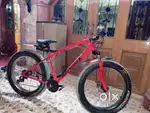 Fat tyre cycle good condition,cycle for adults