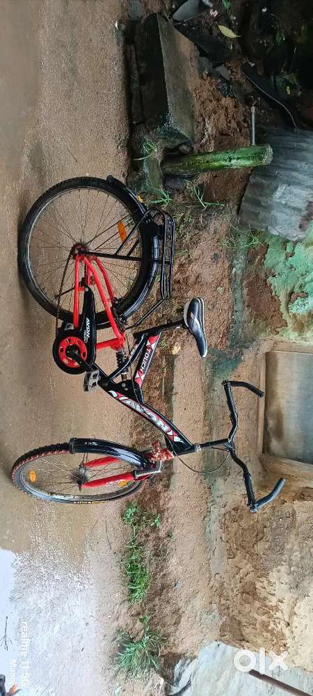 Avon cycle