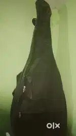 Acoustic Guitar