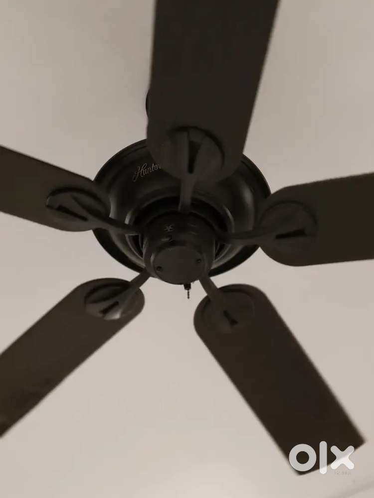 Antique fan hunter usha fan