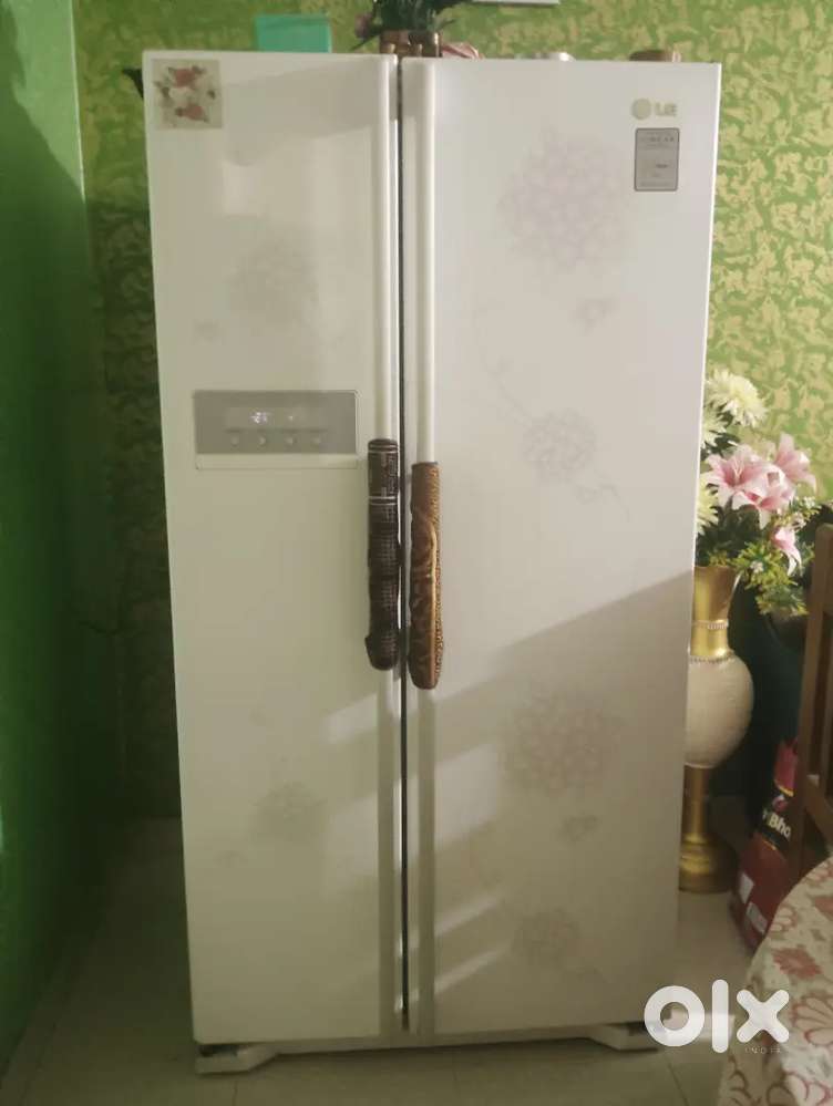Lg double door fridge