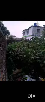 Premium 2 Katha Plot for Sale | Prime Location | Islampur, West Bengal