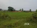 Panchagan ନୁଆସାଡ଼କ road ରେ total 13 ଗୁଣ୍ଠ plot ଅଛି road side