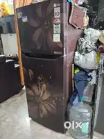 Double Door LG Fridge