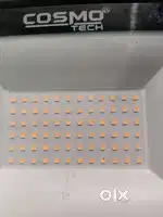 Focus light