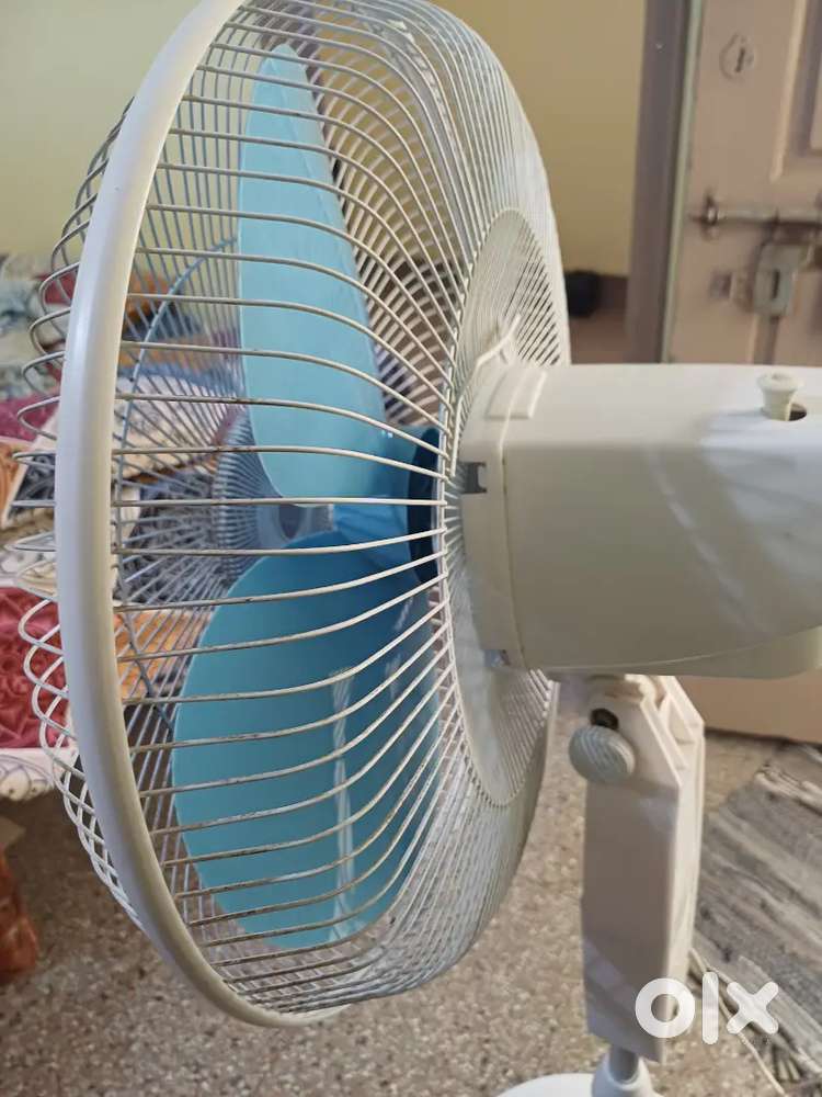 Pedestal Fans