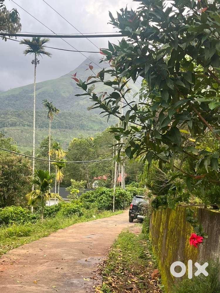 Wayanad Chunda near 11 cent land with view point house selling