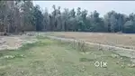 Farm House 440 Sq Yards