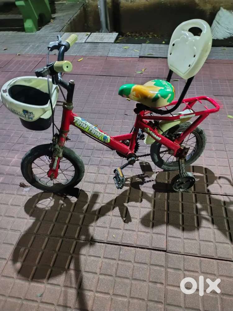 Baby Cycle