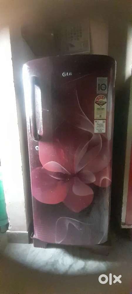 LG 180 litter fridge.