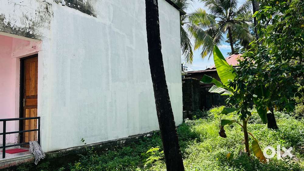 1 BHK House for sale