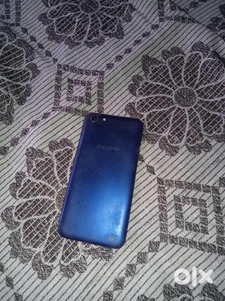 Screen not working