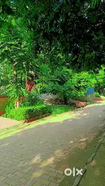 AFFORDABLE RESIDENTIAL PLOT 250SQYDS FOR SALE GILLCO PLAM KHARAR