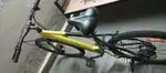 ELECTRIC CYCLE SYNERGY