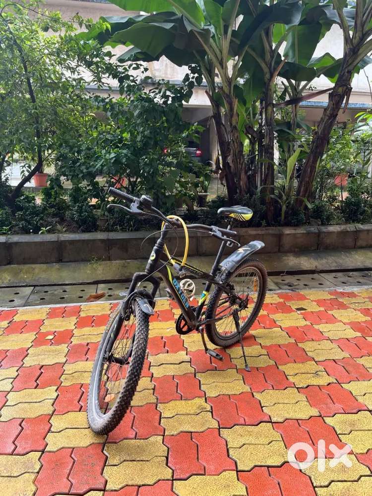 Oxygen Ultimate Bicycle 2021 Model for Sale