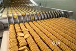 Company Sector Job Big Vacancy in Bhubaneswar,Khordha, Cuttack,Puri