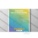WANTED SALES EXECUTIVE FOR MUSICAL SHOP
