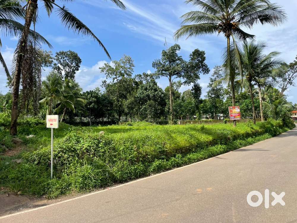 40 cents square plot for sale