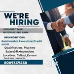 CREDIT CARD SALES EXECUTIVE