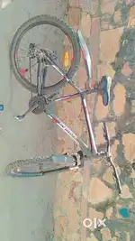 Cyclux gear cycle