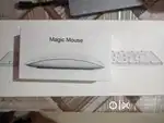 Apple Magic Mouse & Magic Keyboard (Unused)
