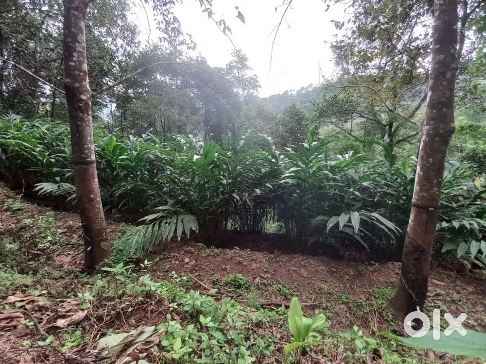 Located in Idukki district ,mukkudom  Availability of road,water