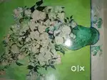 Real painting of Popular painter Vincent van Gogh's vase of roses
