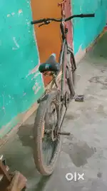 1 year old cycle the real price is 5100 when I buy it