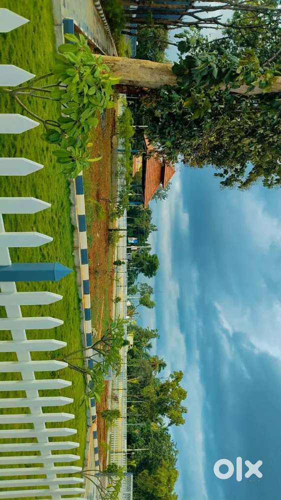 Close to city life,closer to serenity