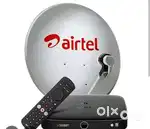 Customer support executive