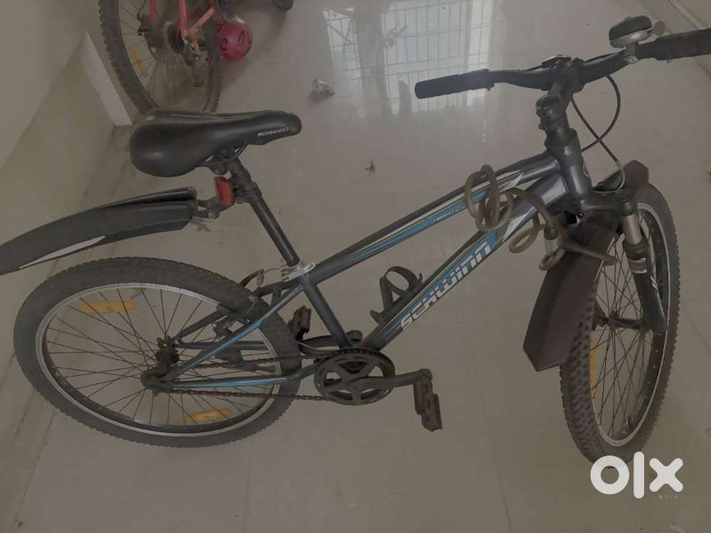 Schwinn Cycle 24 inch