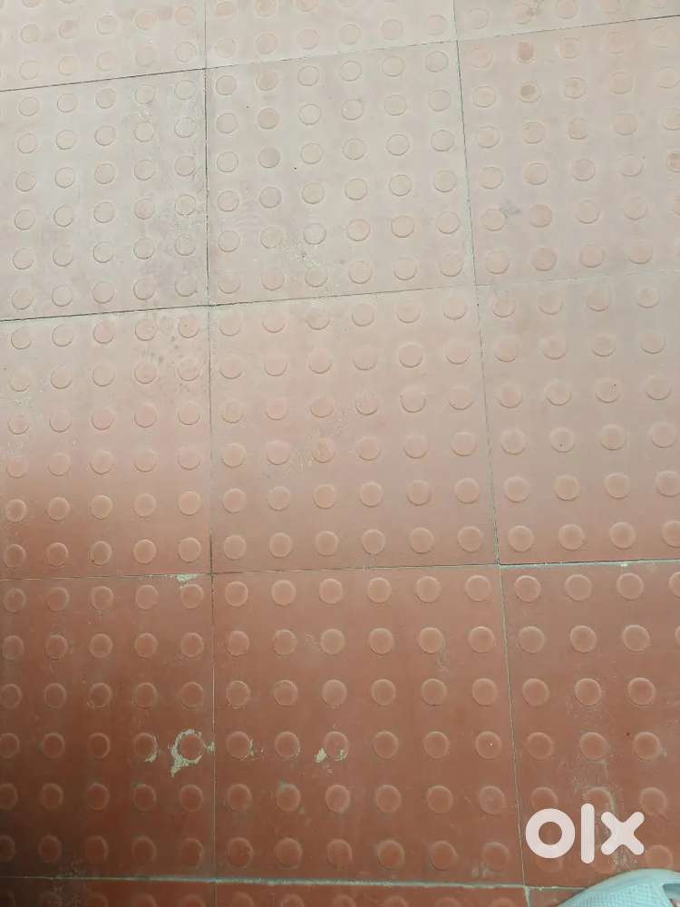 Need a roommate  urgent required rent 2250