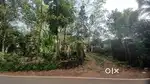 Landplot with house for sale