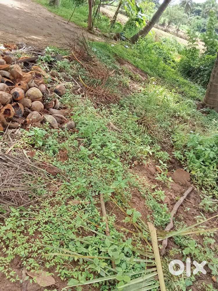 100 meter from main road near parakatkave temple kavassery