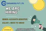 Accounts Executive