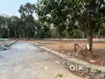 APOLLO HOSPITAL സമീപം ഹൗസ് പ്ലോട്ടുകൾ വില്പനക്ക്