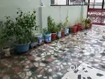 Nonveg not allowed