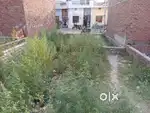 130 gaj and 50 gaj plot for sale in amarjeet colony